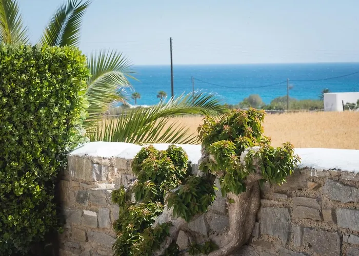 Navi B4 Brand New In Naousa