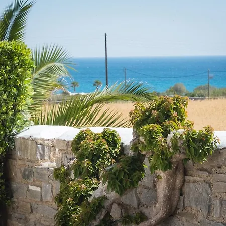 Navi B4 Brand New In Naousa